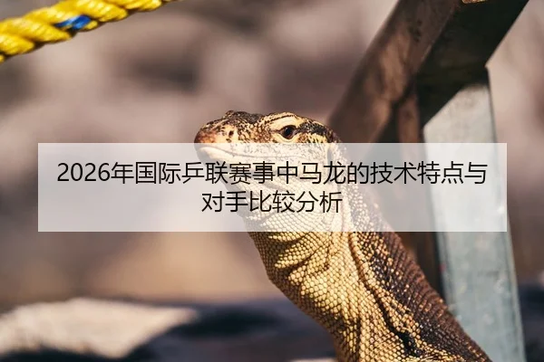 2026年国际乒联赛事中马龙的技术特点与对手比较分析