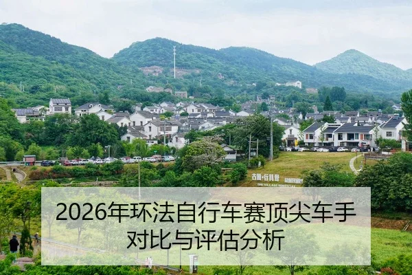 nian-huan-fa-zi-xing-che-sai-ding-jian-che-shou-dui-bi-yu-ping-gu-fen-xi-2-554.jpg