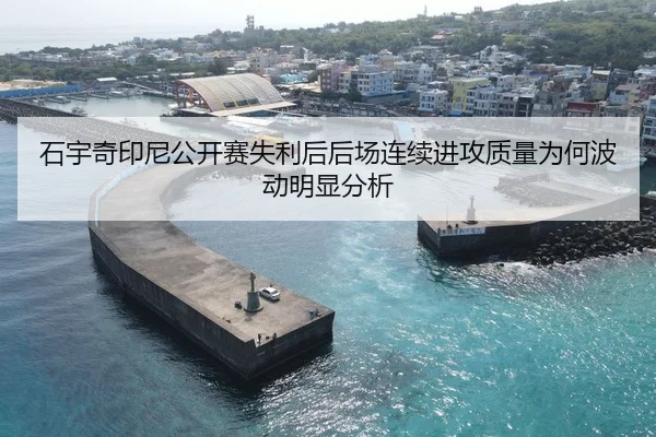 石宇奇印尼公开赛失利后后场连续进攻质量为何波动明显分析