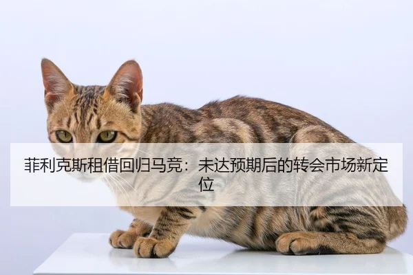 fei-li-ke-si-zu-jie-hui-gui-ma-jing-wei-da-yu-qi-hou-de-zhuan-hui-shi-chang-xin-ding-wei-2-915.jpg