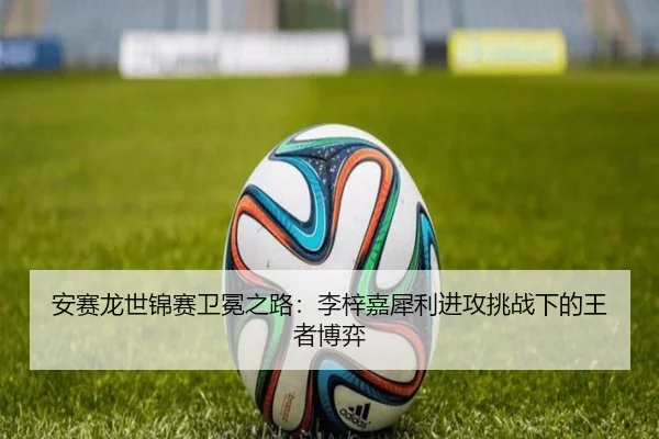 an-sai-long-shi-jin-sai-wei-mian-zhi-lu-li-zi-jia-xi-li-jin-gong-tiao-zhan-xia-de-wang-zhe-bo-yi-3-413.jpg